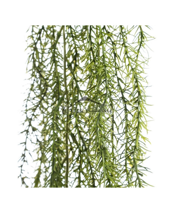 Ramura Columnea Green