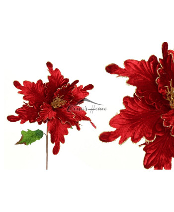 Fir Poinsettia Red