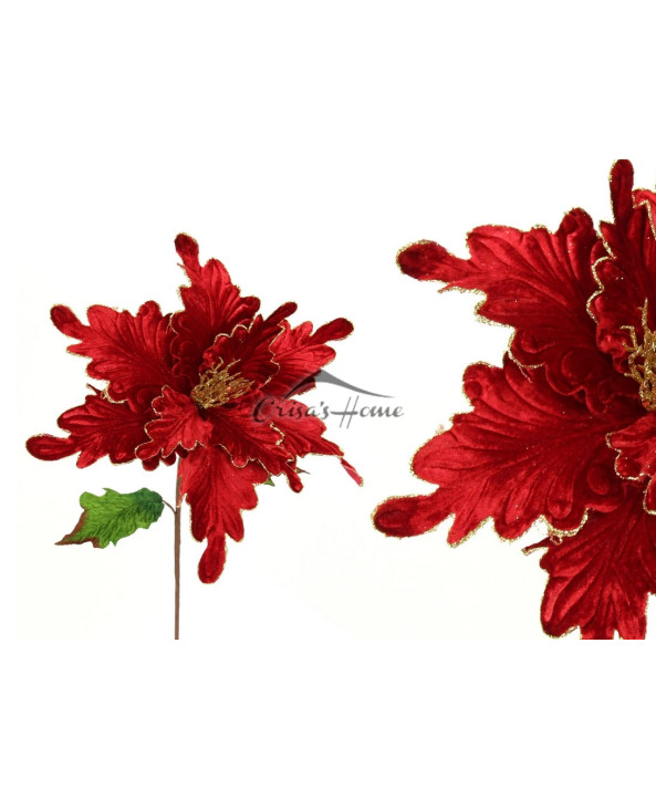 Fir Poinsettia Red